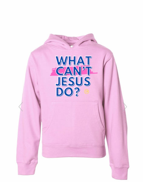 Kids Pink Hoodie